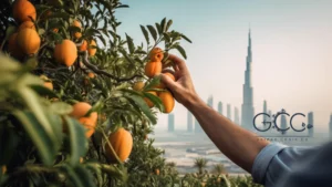 Slider 3 fresh fruit import to Dubai GCC